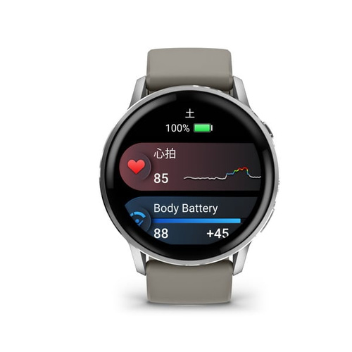 ガーミン GARMIN Venu 4 45mm ヴェニュー 4 010-03014-31 スマートウォッチ グレー AMOLED 睡眠 ライフログ Suica 通話機能 ゴルフ 登山 国内正規品 プレゼント 腕時計 バレンタイン